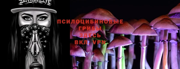 спиды Кулебаки
