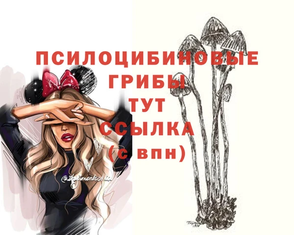 спиды Кулебаки