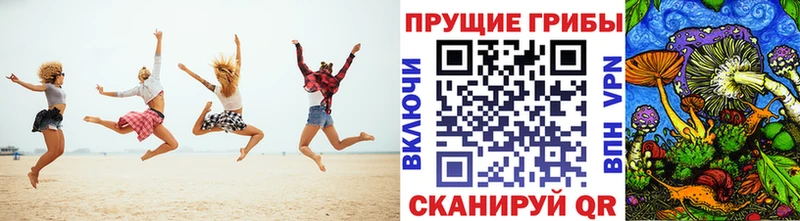 Купить закладки  Зея  Псилоцибиновые грибы Magic Shrooms 